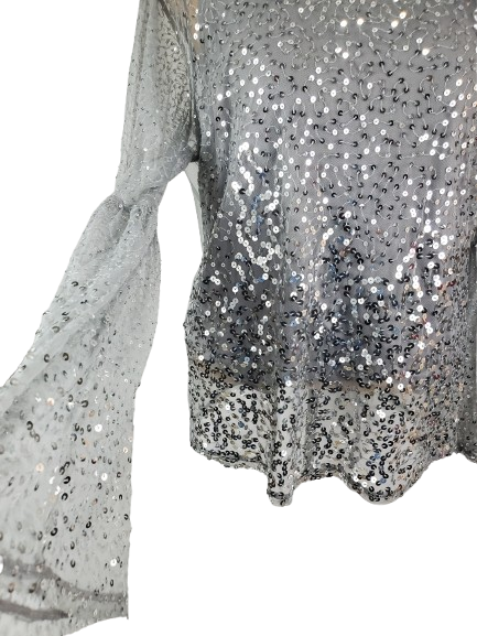 Close-up of a silver sequin dress with long sleeves on a white background