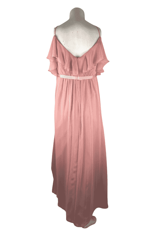 David's Bridal women's ballet gown size 16 - Solé Resale Boutique thrift