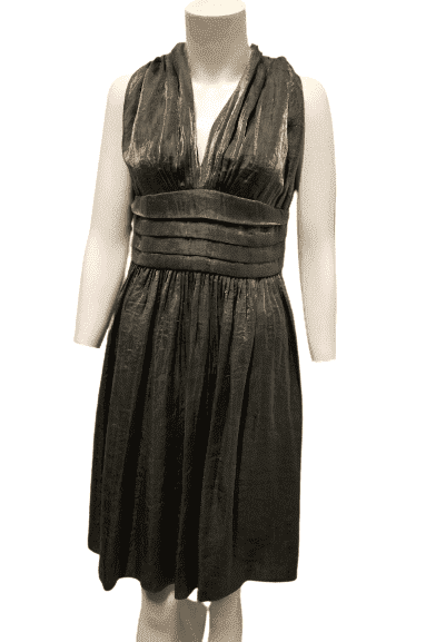 Adrianna Papell women's silver shimmer, sleeveless dress size 8 - Solé Resale Boutique thrift