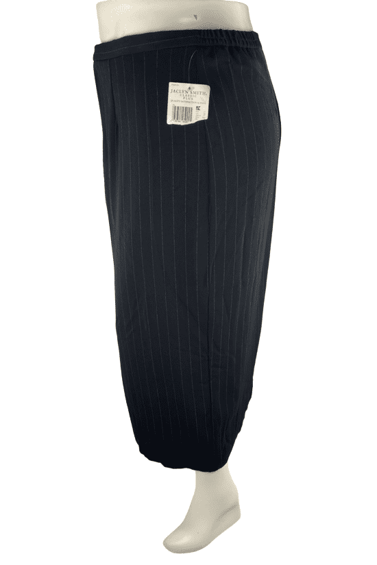 Jaclyn Smith women's black/white pinstripe skirt size 26W - Solé Resale Boutique thrift