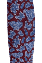 IZOD men's multicolor paisley necktie - Solé Resale Boutique thrift