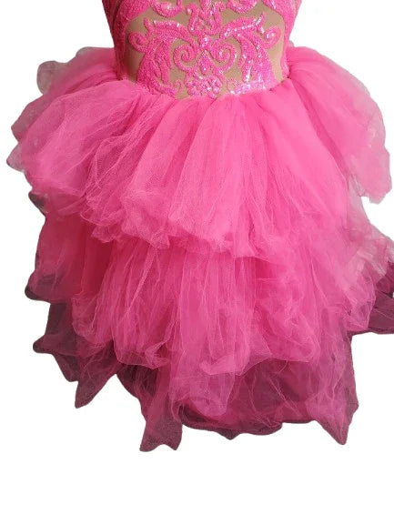 Pink tutu dress with gold sequin top on a white background