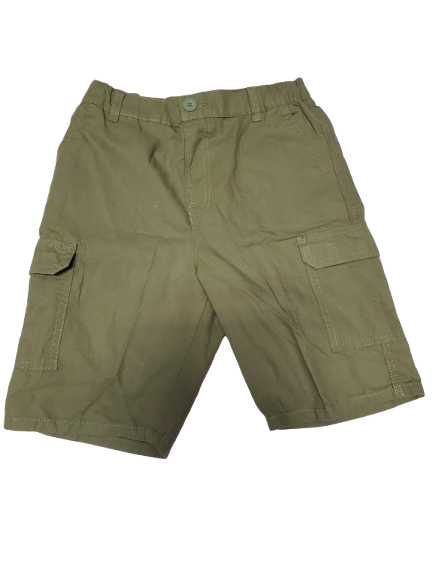 Pair of green shorts on a white background