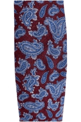 IZOD men's blue and brown paisley tie - Solé Resale Boutique thrift