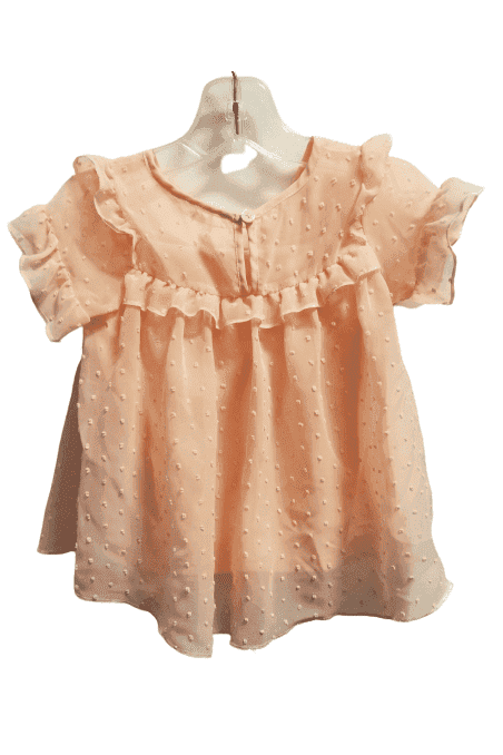 Preowned girls top by Healthtex sz 2T